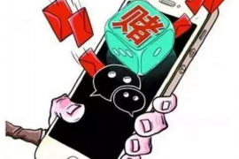 渝水为什么选择专业追讨公司来处理您的债务纠纷？